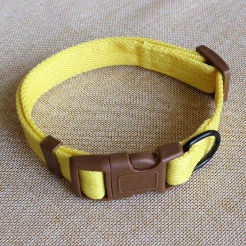 Nylon Webbing Dog Collar Heavy Duty Clip Buckle Pet Collar for Small Medium Dogs Chihuahua Dog Red Black Blue Purple