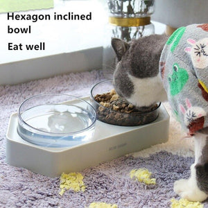 300ML Non Slip Hexagonal Base Bevel Transparent Plastic Cat Feeding Bowl Pet Dog Cat Water Food Feeding Bowl With Base