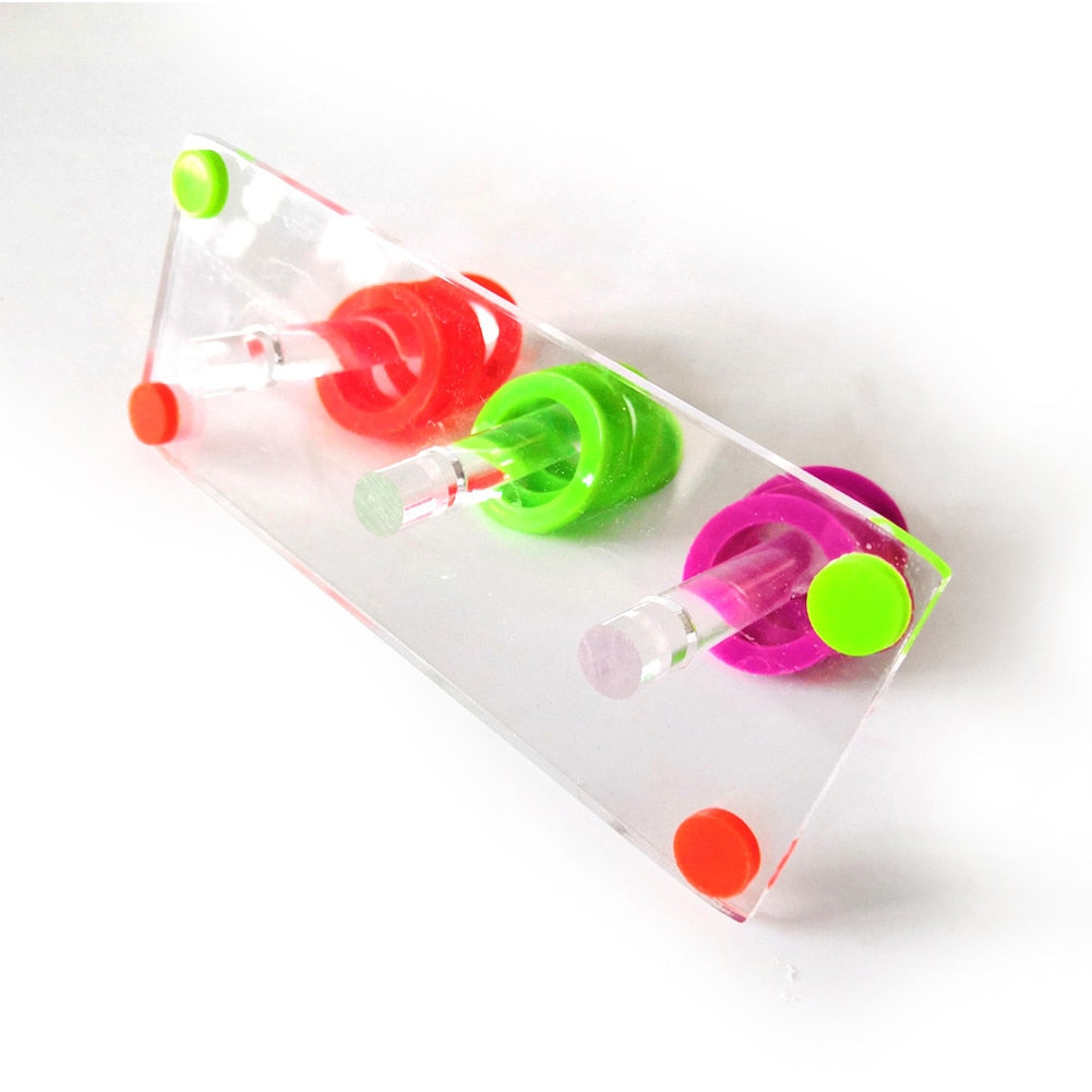 Small Bird Home Educational Pet Interactive Ring Acrylic Color Separate Training Intelligence Funny Development Parrot Toy Set