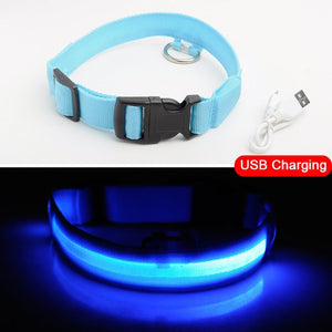 USB Charging Led Dog Collar Anti-Lost/Avoid Car Accident Collar For Dogs Puppies Dog Collars Leads LED Supplies Pet Products